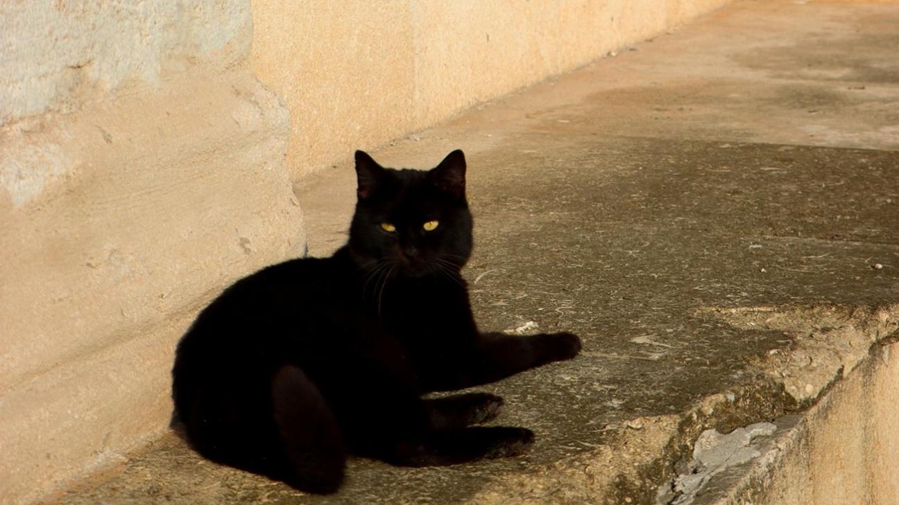 Τα πιο απαισιόδοξα ζώδια – Δεν βλέπουν πουθενά το καλό, είναι πεσιμιστές